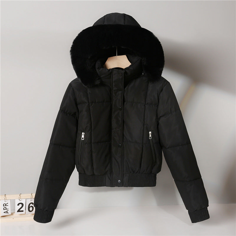 Danielle | Hooded Puffer Bomber Jacket