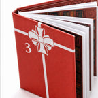 Sable Mini Advent Calendar | 24 Miniature Books, Reusable Ornaments 7