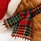Stuffed Animal Christmas Money Holder Ornament